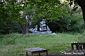 VBS_4937 - Il bosco fatato - Montaldo Roero